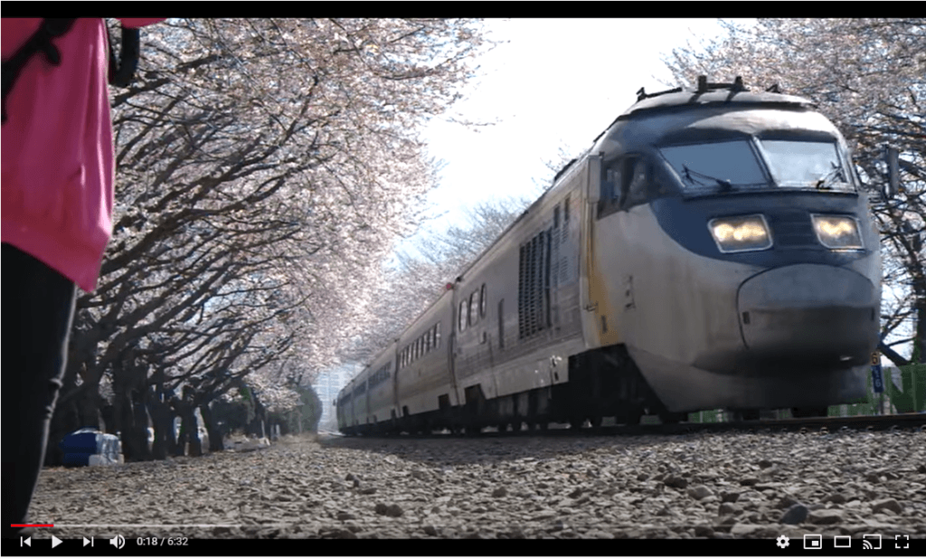 image of a train travelling through Gyeonghwa Station Cherry Blossom Railway
